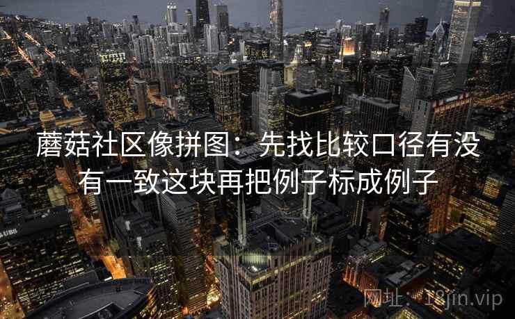 蘑菇社区像拼图：先找比较口径有没有一致这块再把例子标成例子  第2张